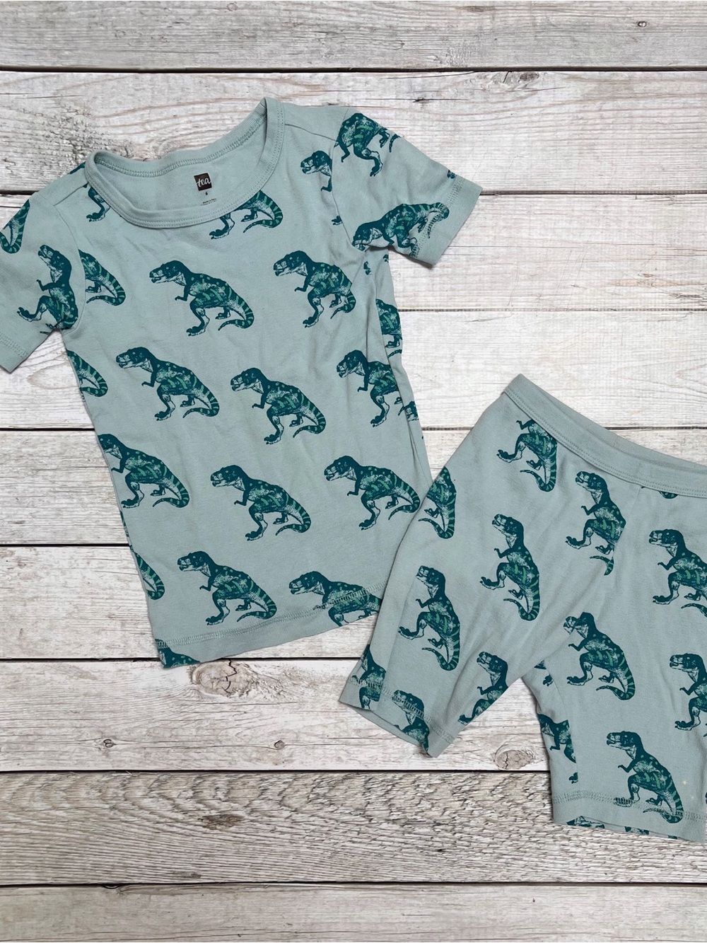 Tea Collection  Pajama Set with Teal Dinosaur Print